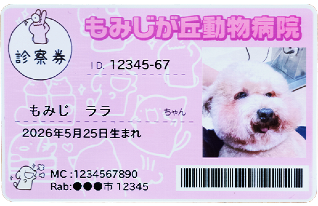 ペットの写真を入れた診察券の見本