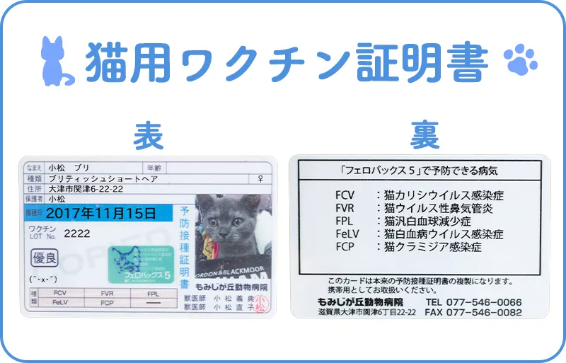 猫用ワクチン証明書。表面と裏面の見本。