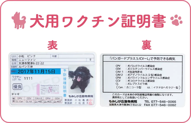 犬用ワクチン証明書。表面と裏面の見本。